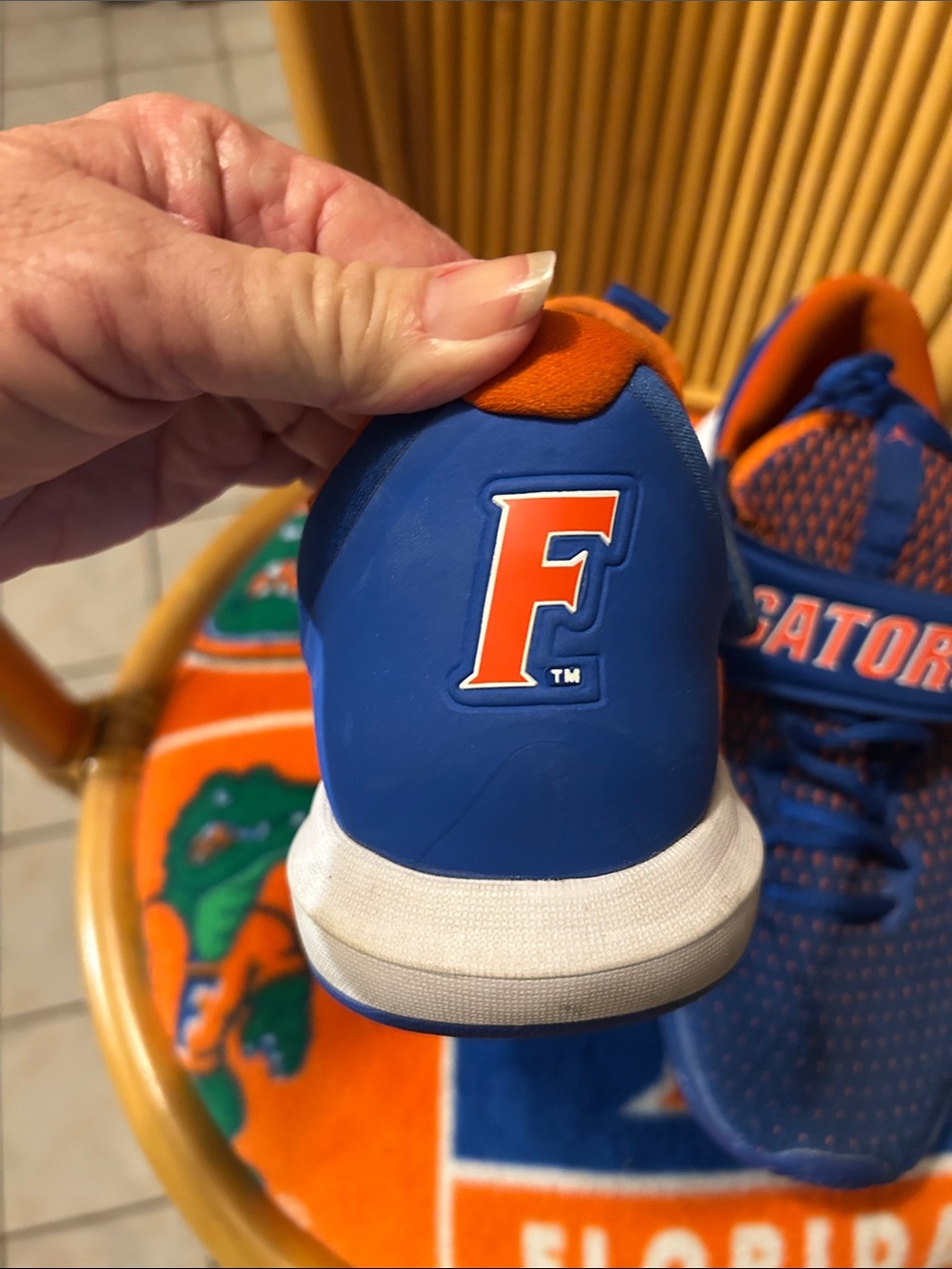 Florida gators - Picture 3 of 9